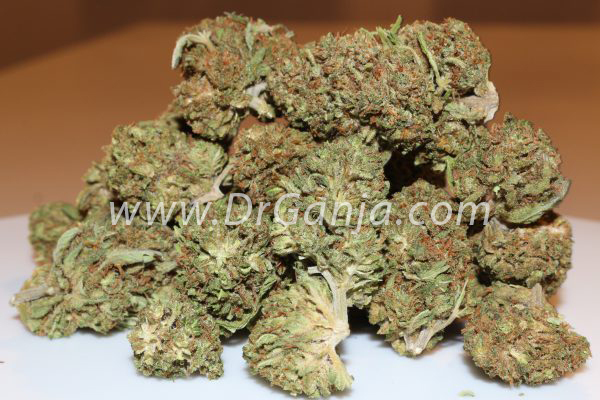 lifter cbd flower 3 5 grams 18 75