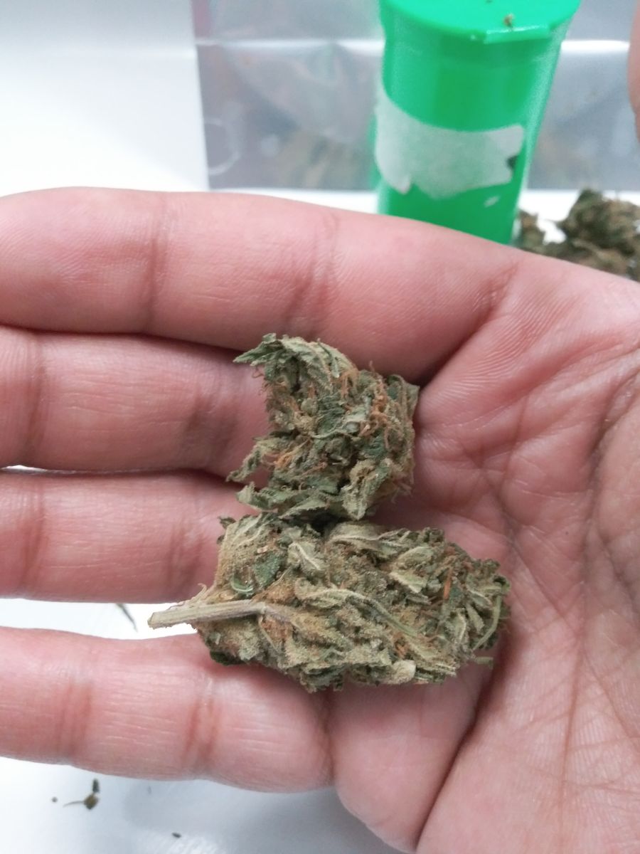Image #2 from Dr.Ganja Customer