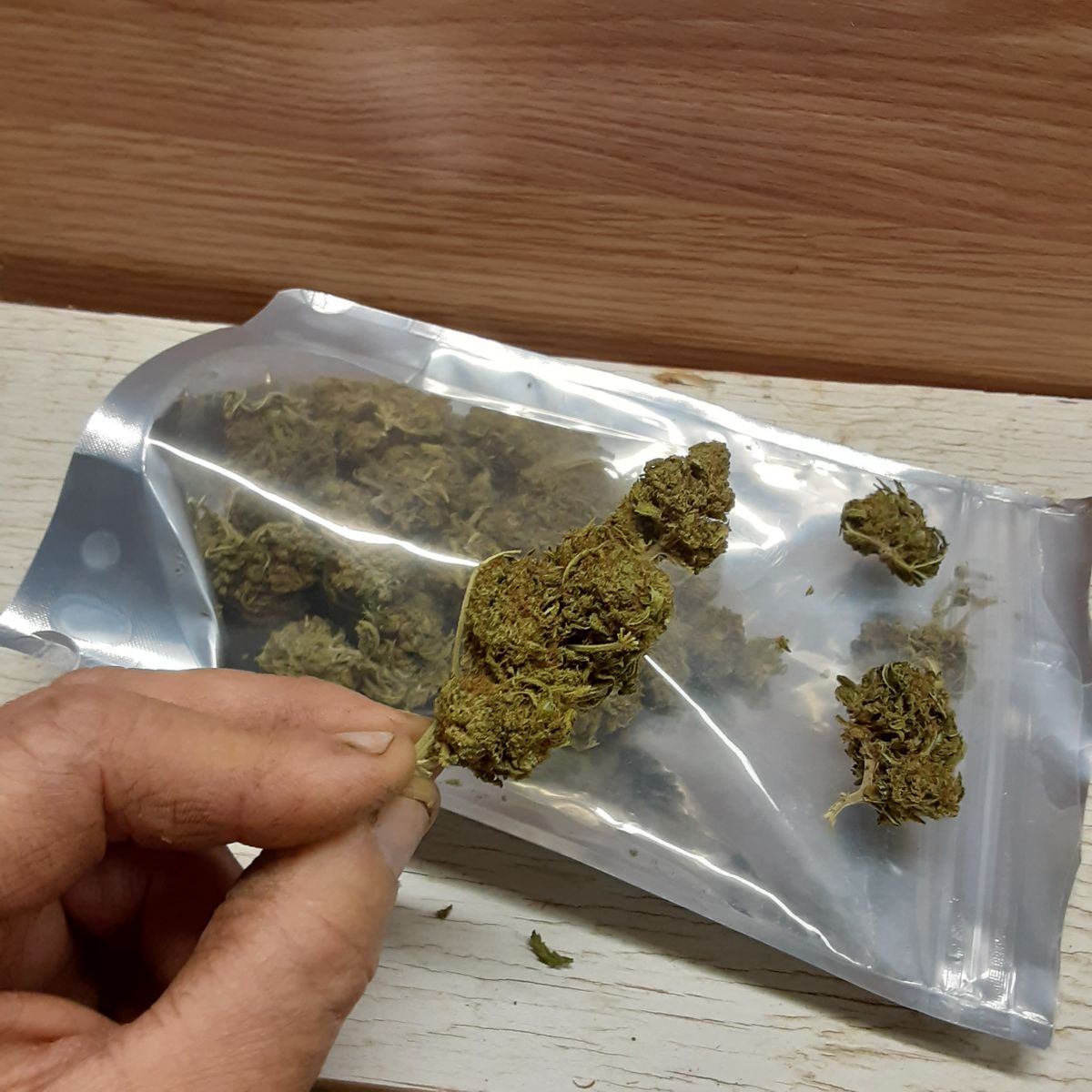 Image #2 from Dr.Ganja Customer