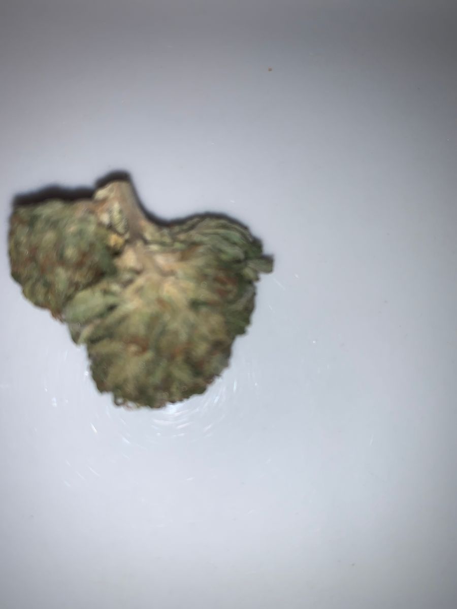 Image #5 from Dr.Ganja Customer