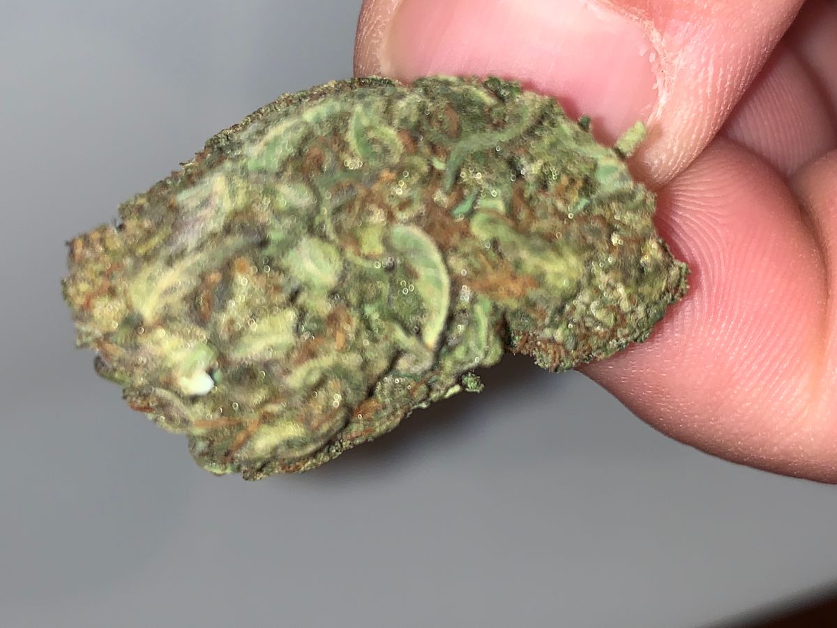 Image #1 from Dr.Ganja Customer