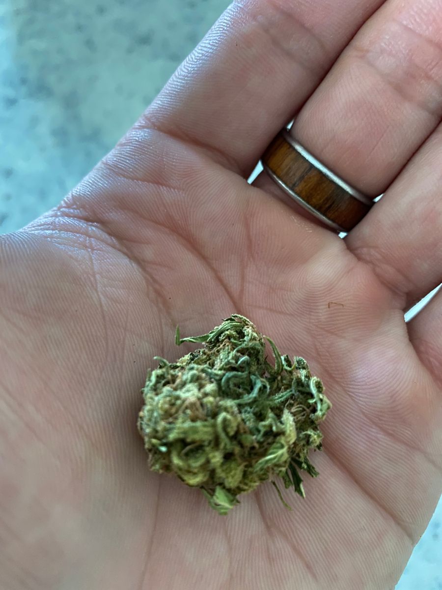 Image #1 from Dr.Ganja Customer