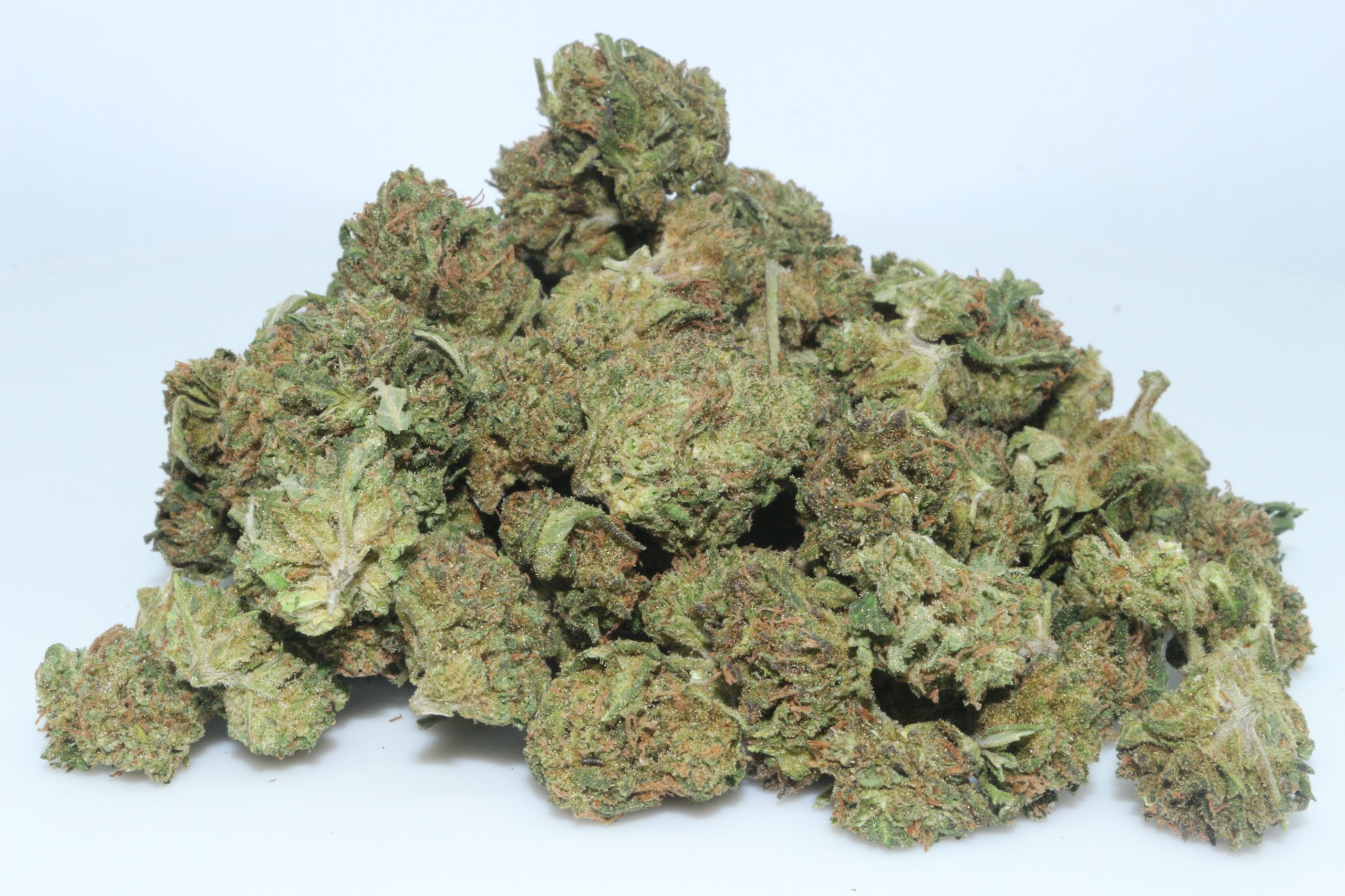 cherry abacus strain cherry abacus strain