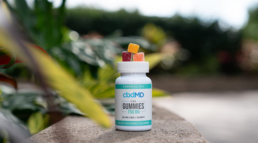 Have you ever wanted a personal, honest, and in-depth review of CBD gummies? There’s so many to choose from right? And from what you read online, every option sounds great. That’s because ingenious copywriters know how to make anything look and sound good.