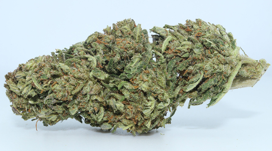 DrGanja CBD Dawg CBD Flower