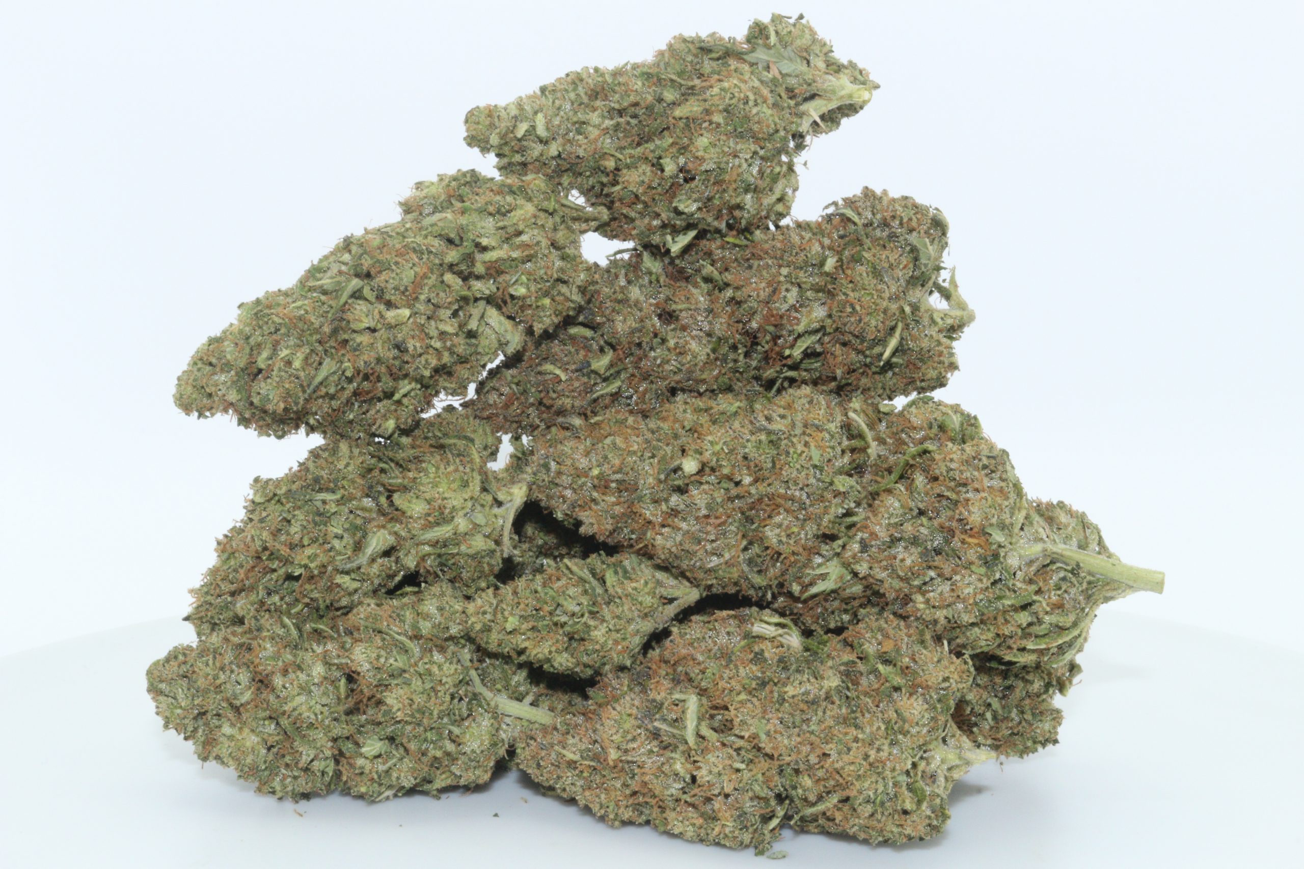 Dr.Ganja Abacus CBD Flower Dr.Ganja Abacus CBD Flower