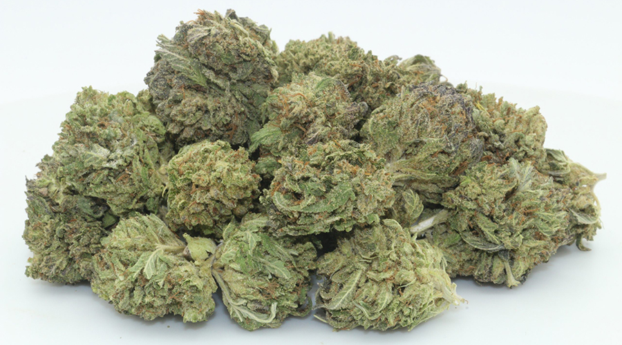 Dr.Ganja Bubba Kush CBD Flower Smalls Dr.Ganja Bubba Kush CBD Flower Smalls