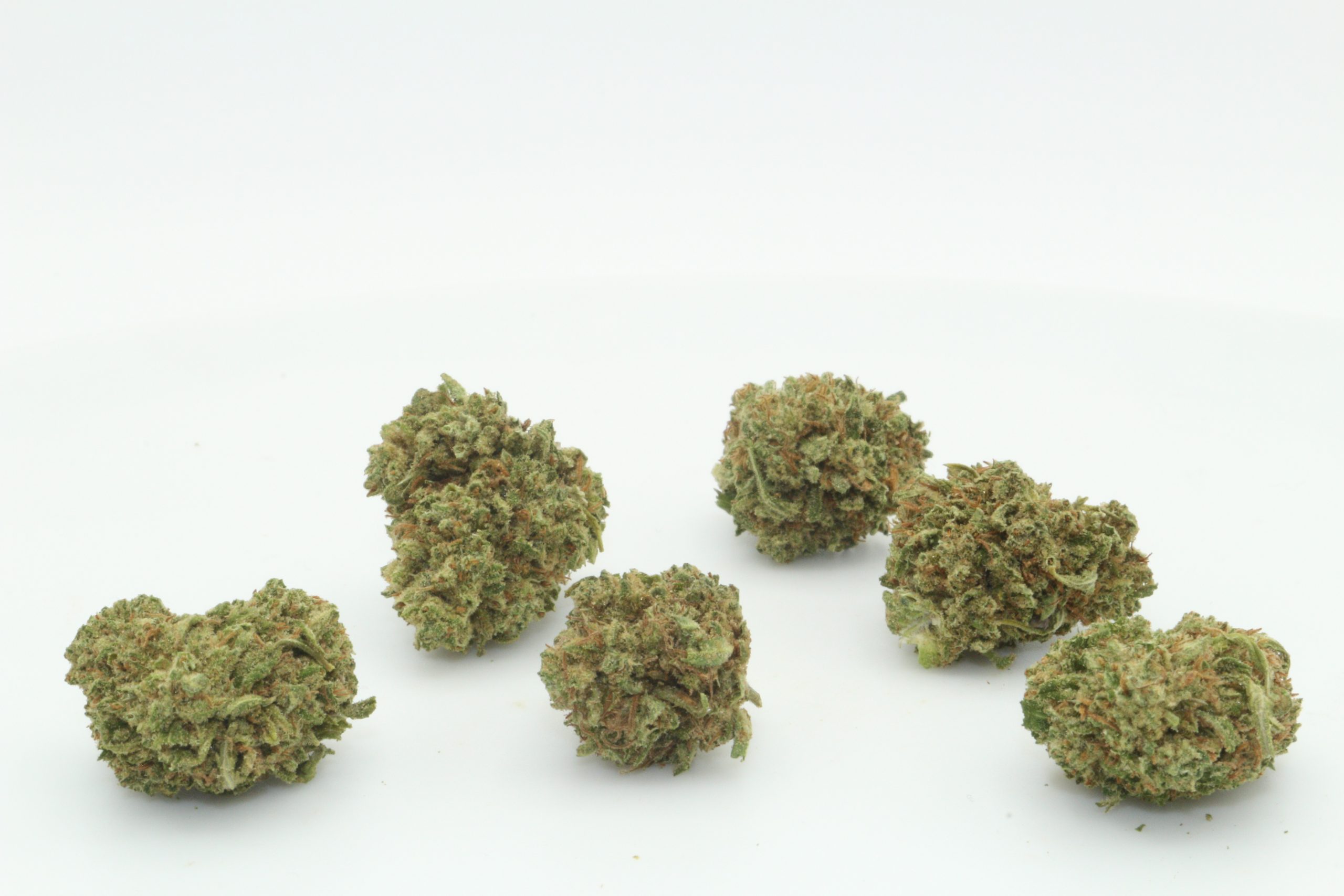 Dr.Ganja Spectrum CBD Hemp Flower Smalls Dr.Ganja Spectrum CBD Hemp Flower Smalls