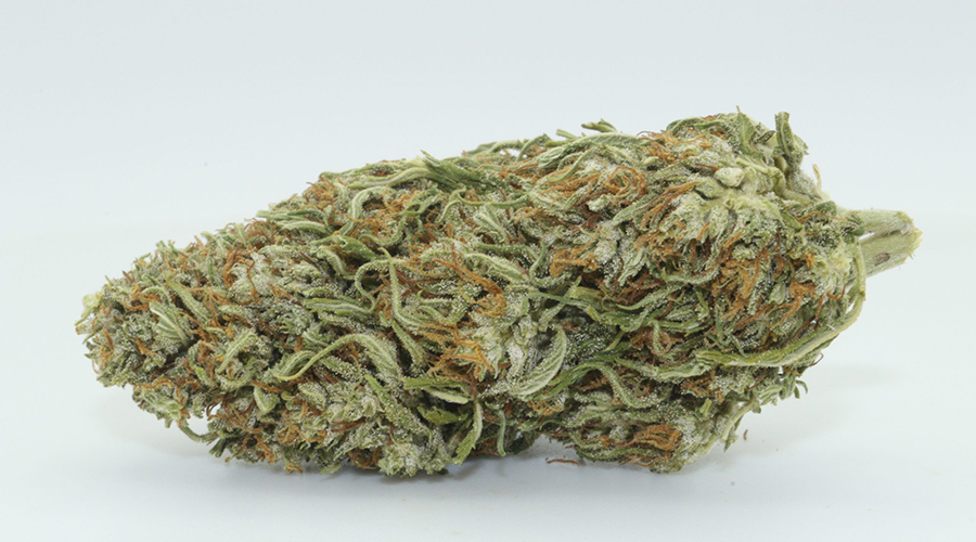 Dr.Ganja White CBG Hemp Flower