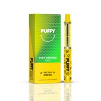 Qwin Delta 8 Disposable Vape Pen Puff Berries 3g