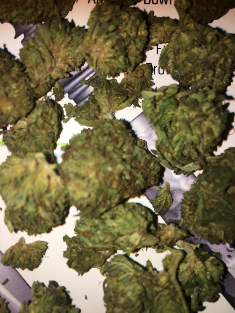 Image #17 from Dr.Ganja Customer