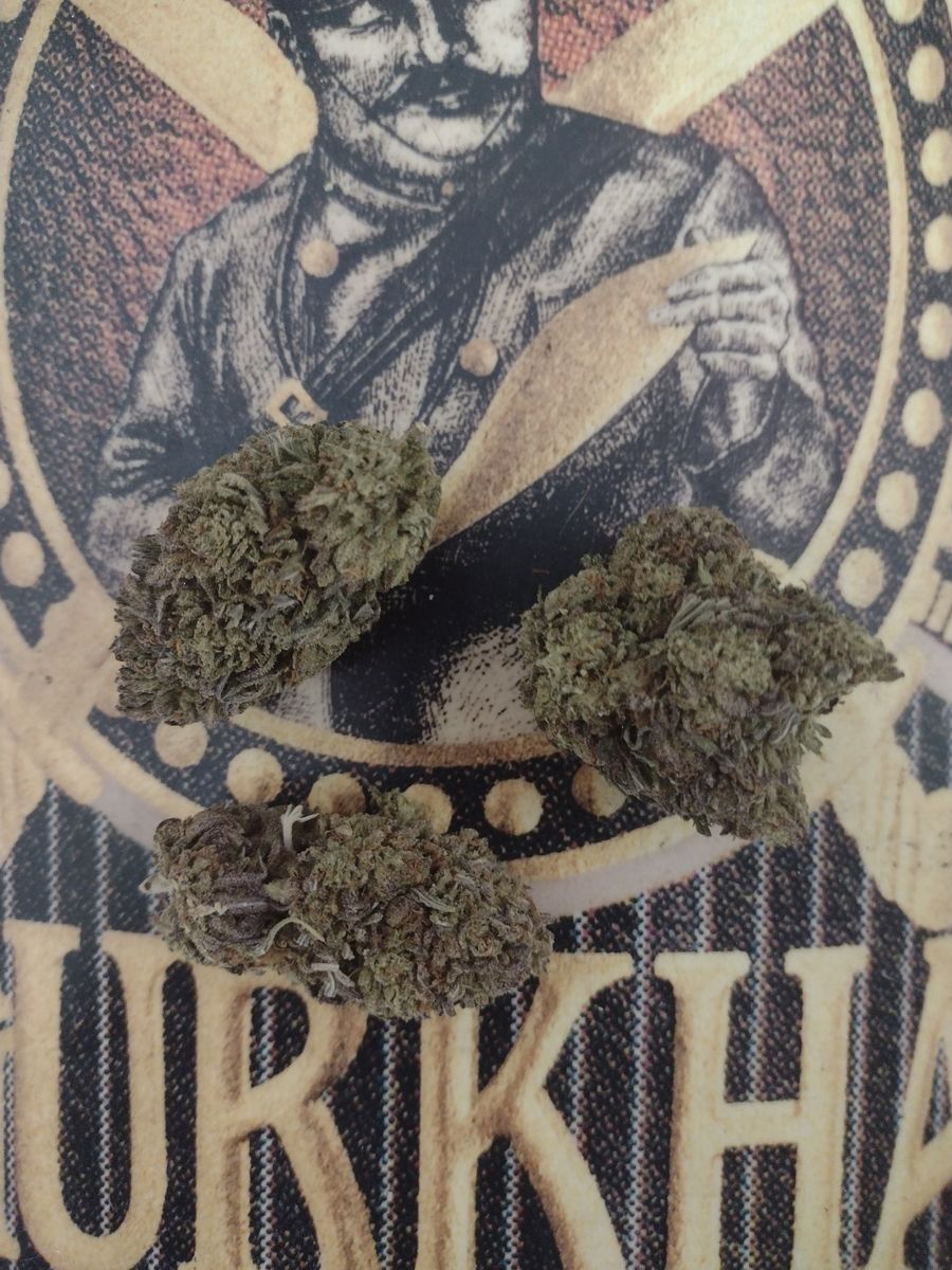 Image #10 from Dr.Ganja Customer