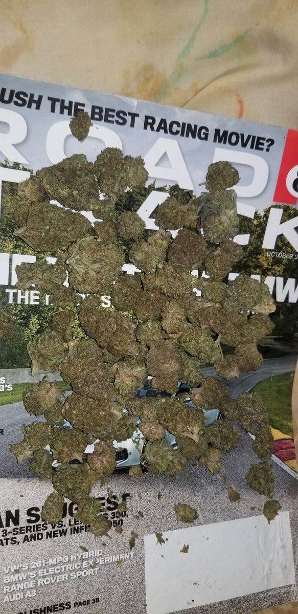 Image #16 from Dr.Ganja Customer