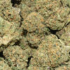 Cashmere Kitty Hemp Flower