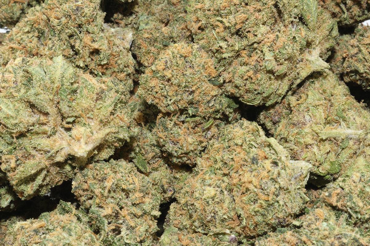 Cashmere Kitty Hemp Flower Cashmere Kitty Hemp Flower