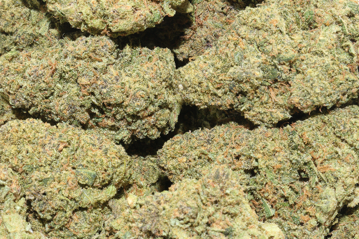 Pink Panther Hemp Flower