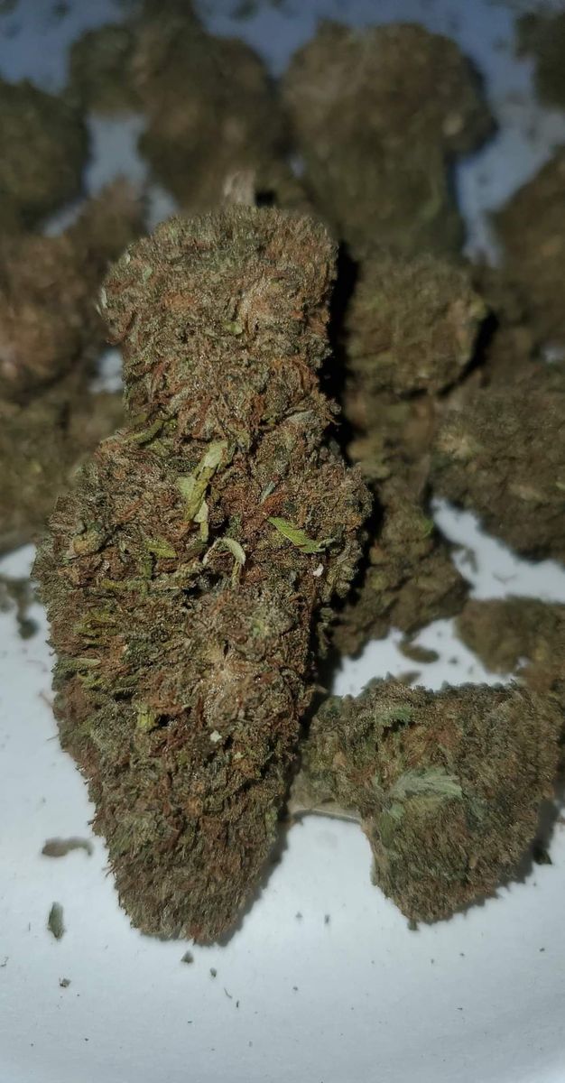 Image #1 from Dr.Ganja Customer