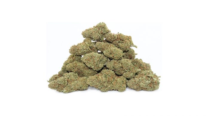Cherry Crème Brulee Hemp Strain Review