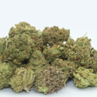 Dr.GanjaThe White CBG Smalls
