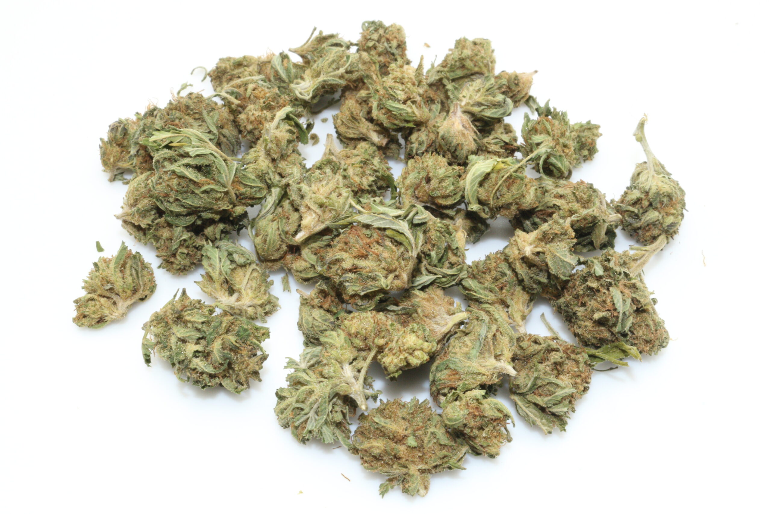 Lemon Diesel Smalls CBD Flower Lemon Diesel Smalls CBD Flower