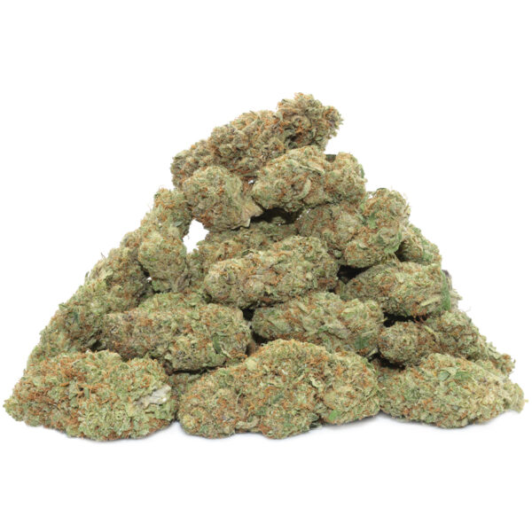 Lemon Meringue Indoor - Dr.Ganja