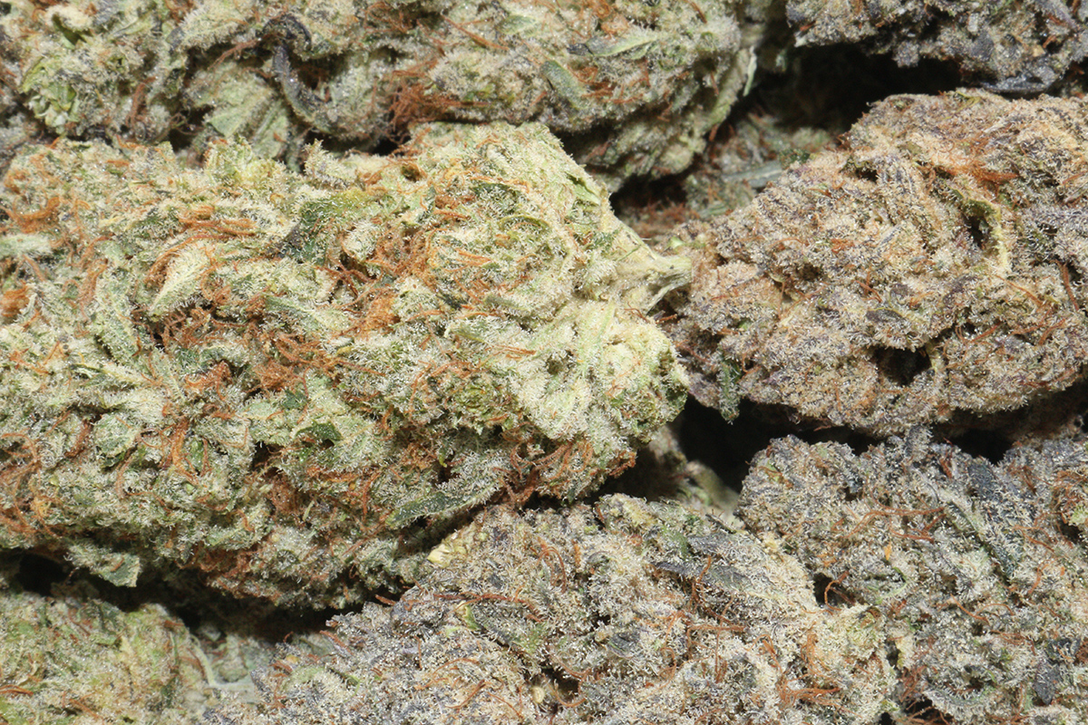 Master Kush Hemp Flower Master Kush Hemp Flower