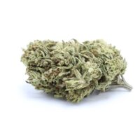 Dr.Ganja Sour G CBG Hemp Flower