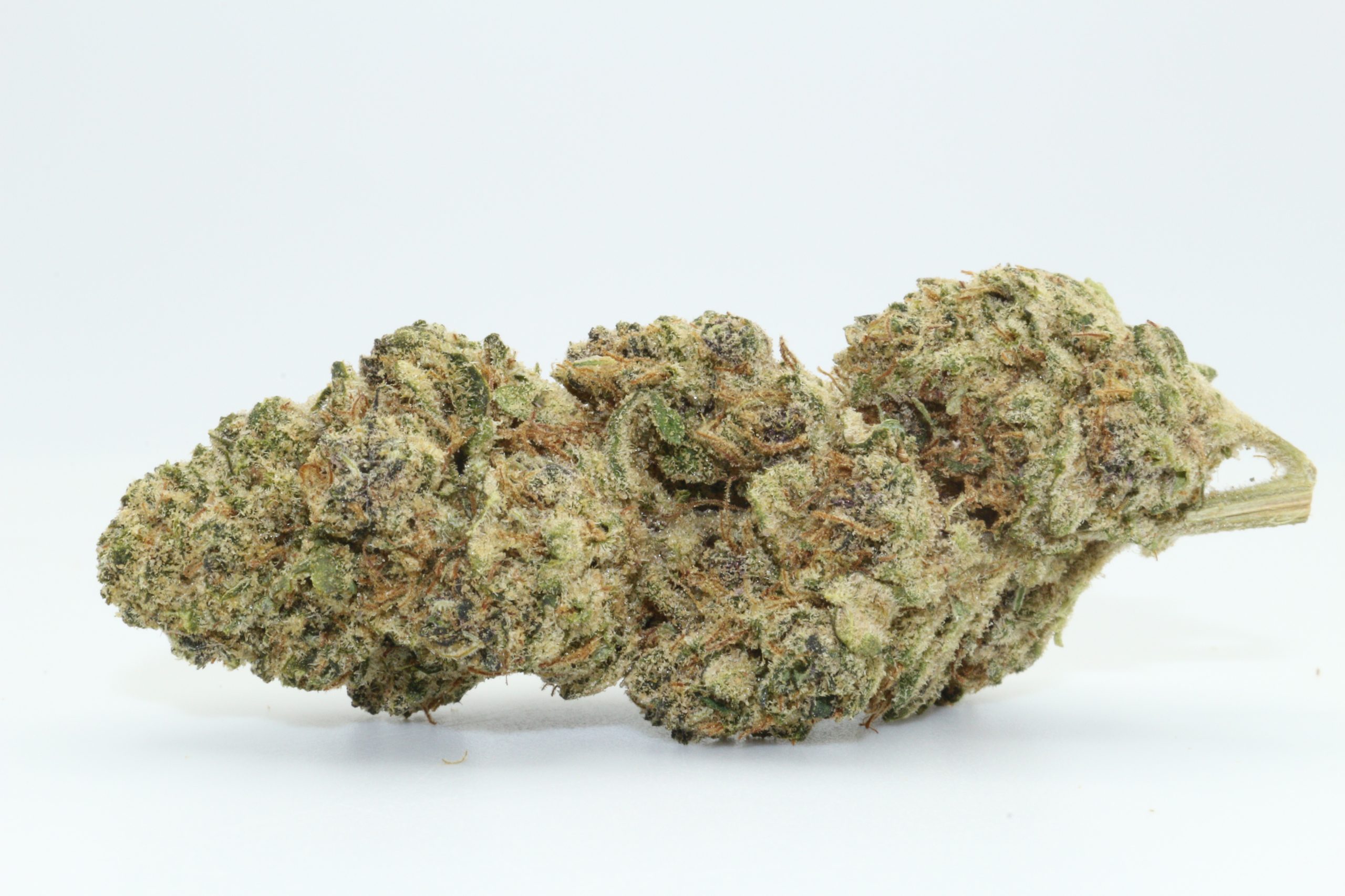 Gaslato THCA Hemp Flower Gaslato THCA Hemp Flower