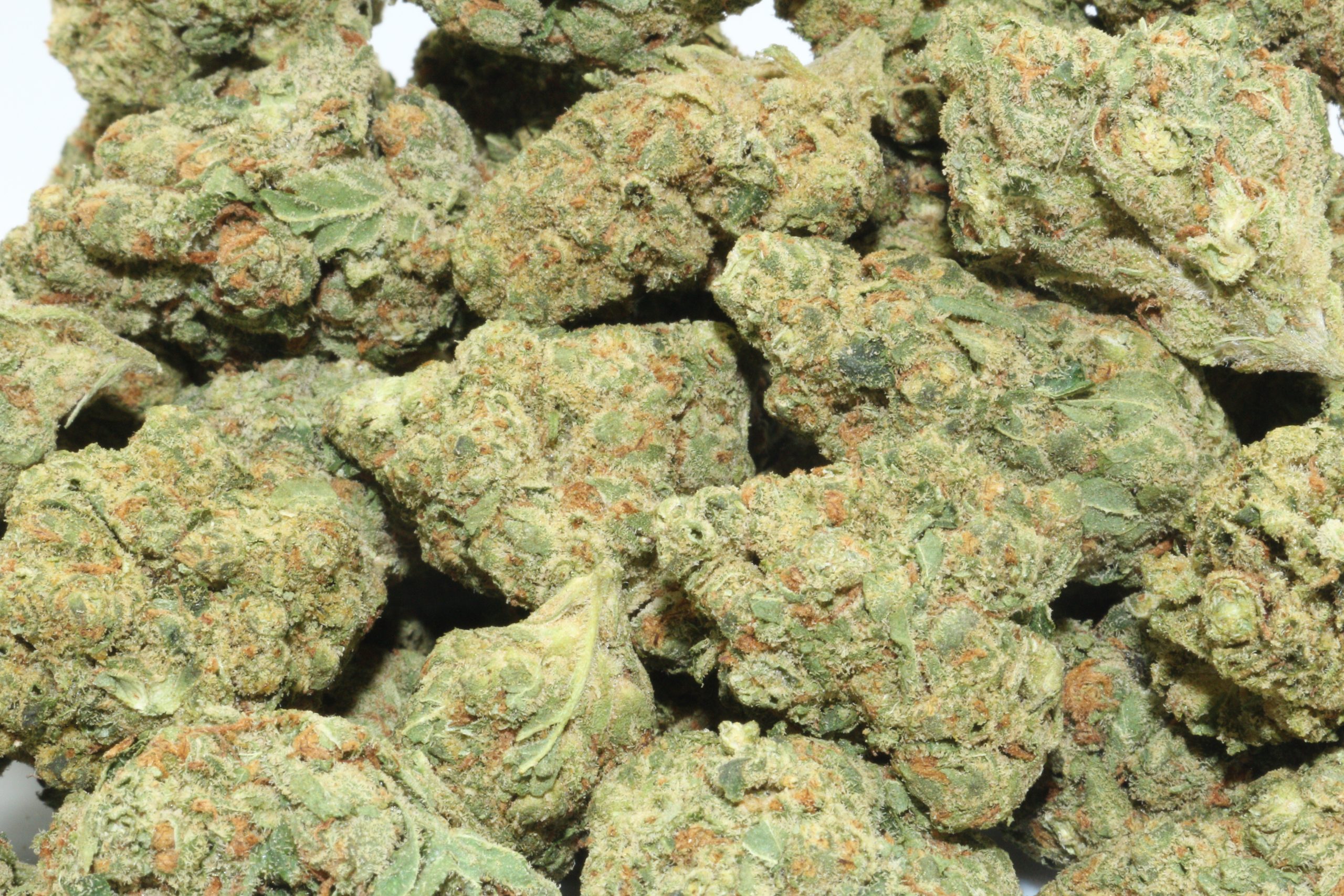 Khalifa Hemp Flower Khalifa Hemp Flower