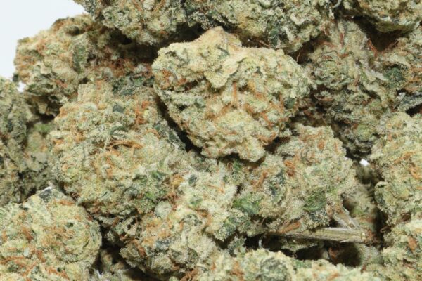 King Kush Hemp Flower
