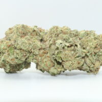 Lava Cake THCA Hemp Flower