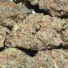 Peanut Butter Breath Hemp Flower