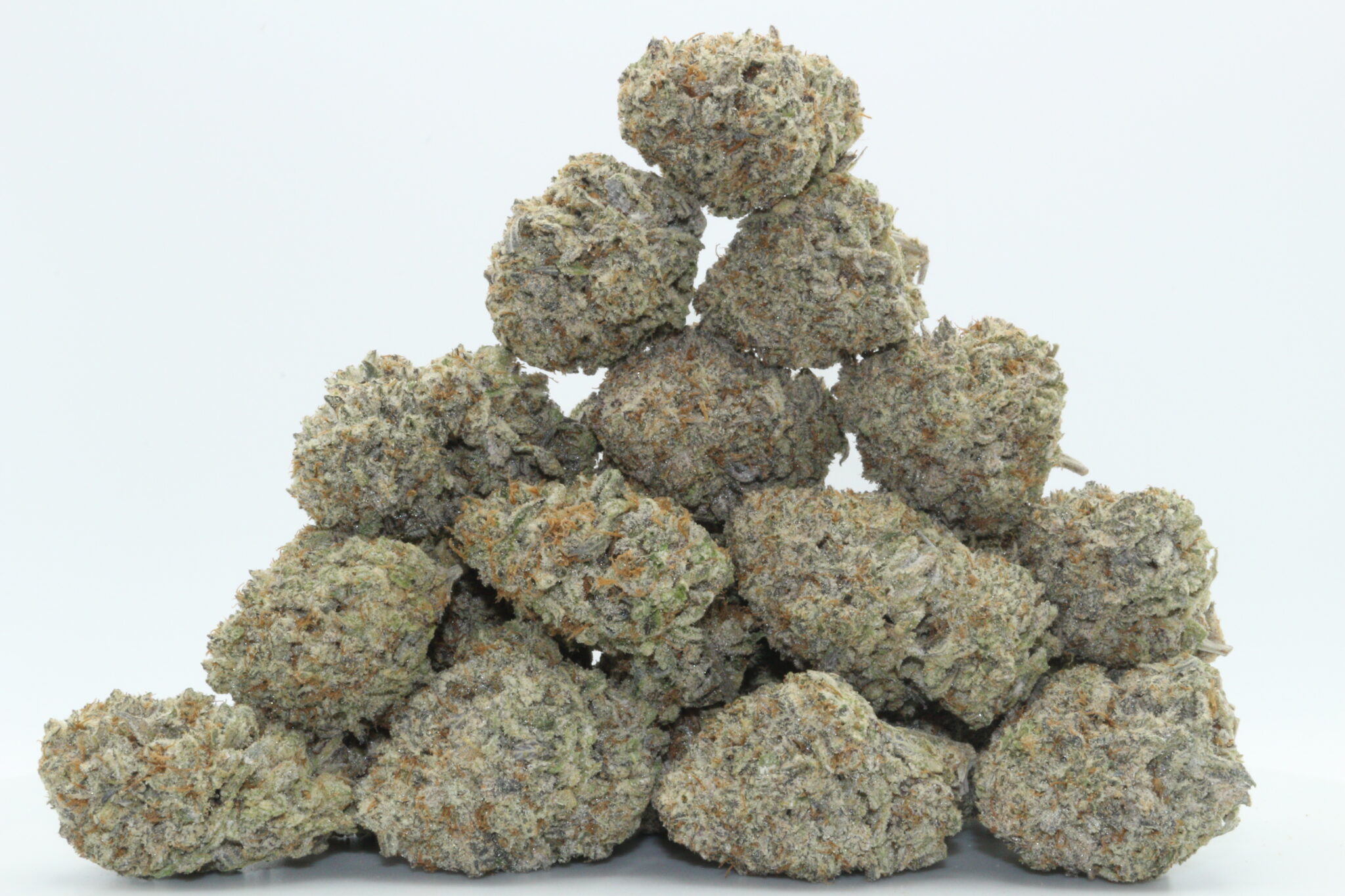 White Truffle strain Dr.Ganja