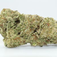 White Truffle THCA Flower