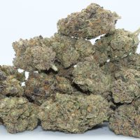 Dr.Ganja White Truffle THCA Flower - Giveaway