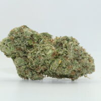 White Truffle THCA Hemp Flower