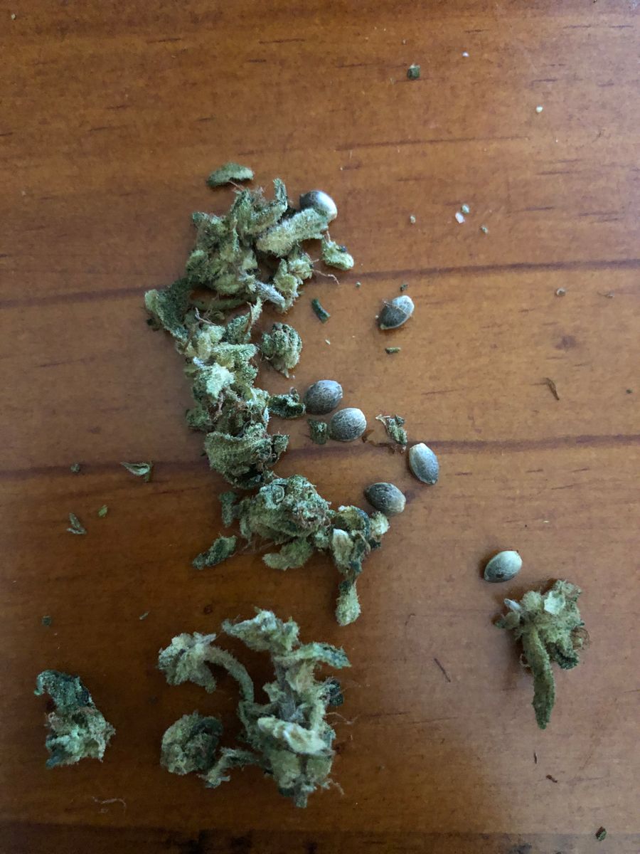 Image #1 from Dr.Ganja Customer