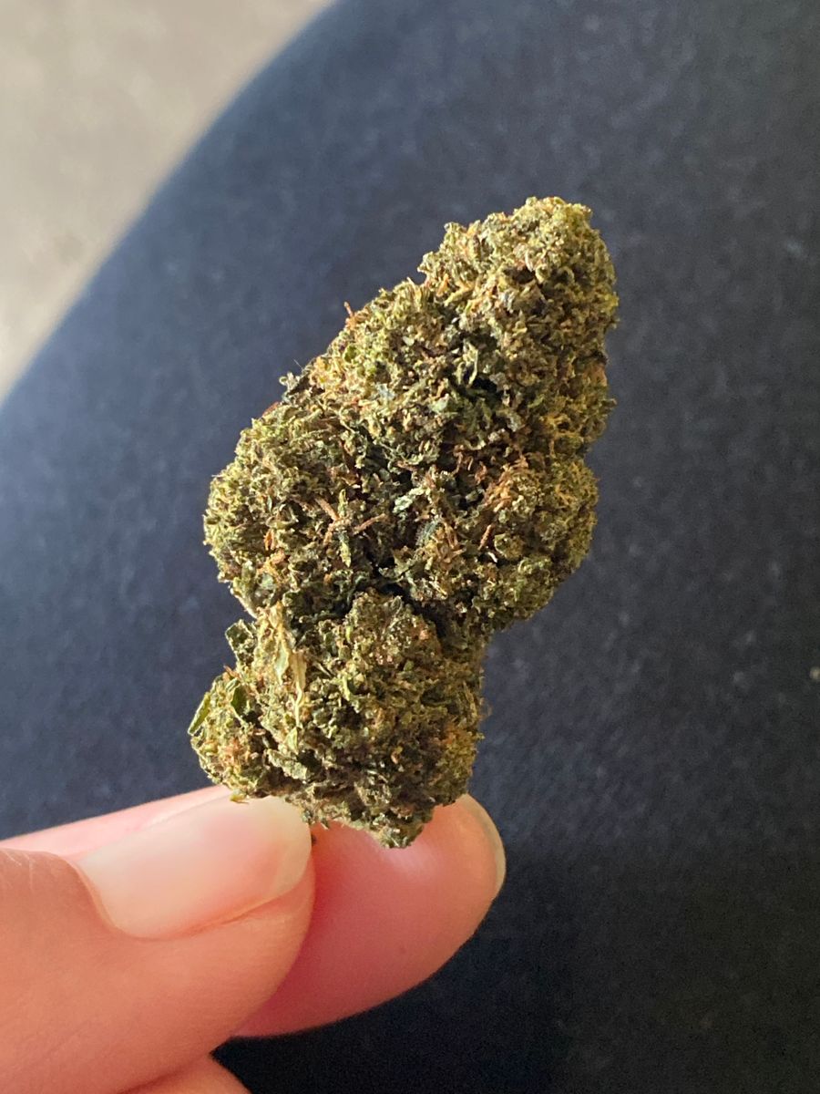 Image #4 from Dr.Ganja Customer