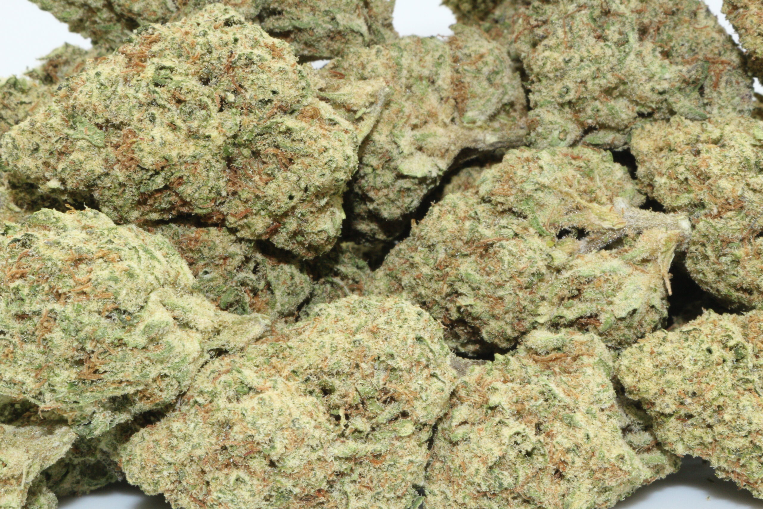 Champagne Kush Hemp Flower Champagne Kush Hemp Flower