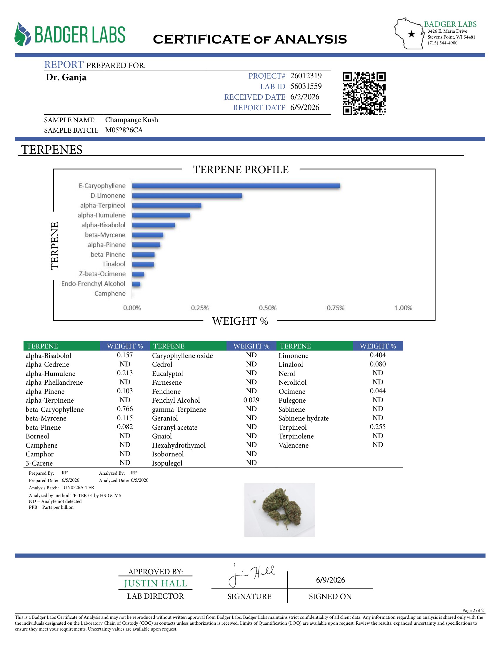 Champagne Kush Terpenes Certificate of Analysis