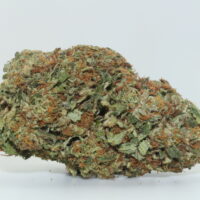 Gushers THCA Hemp Flower