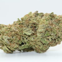 Jealousy THCA Flower