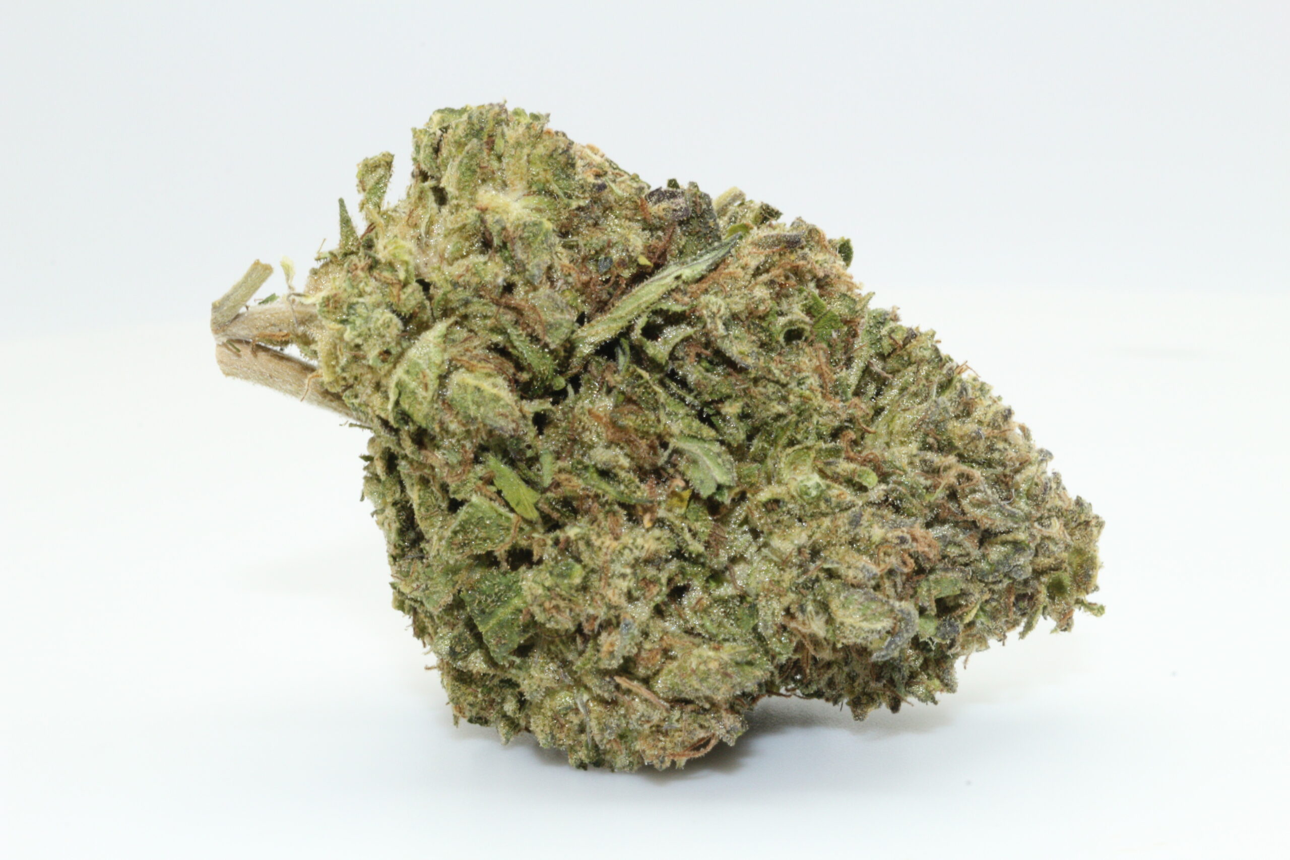 Jealousy THCA Hemp Flower Jealousy THCA Hemp Flower