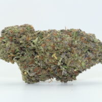 Jealousy THCA Hemp Flower