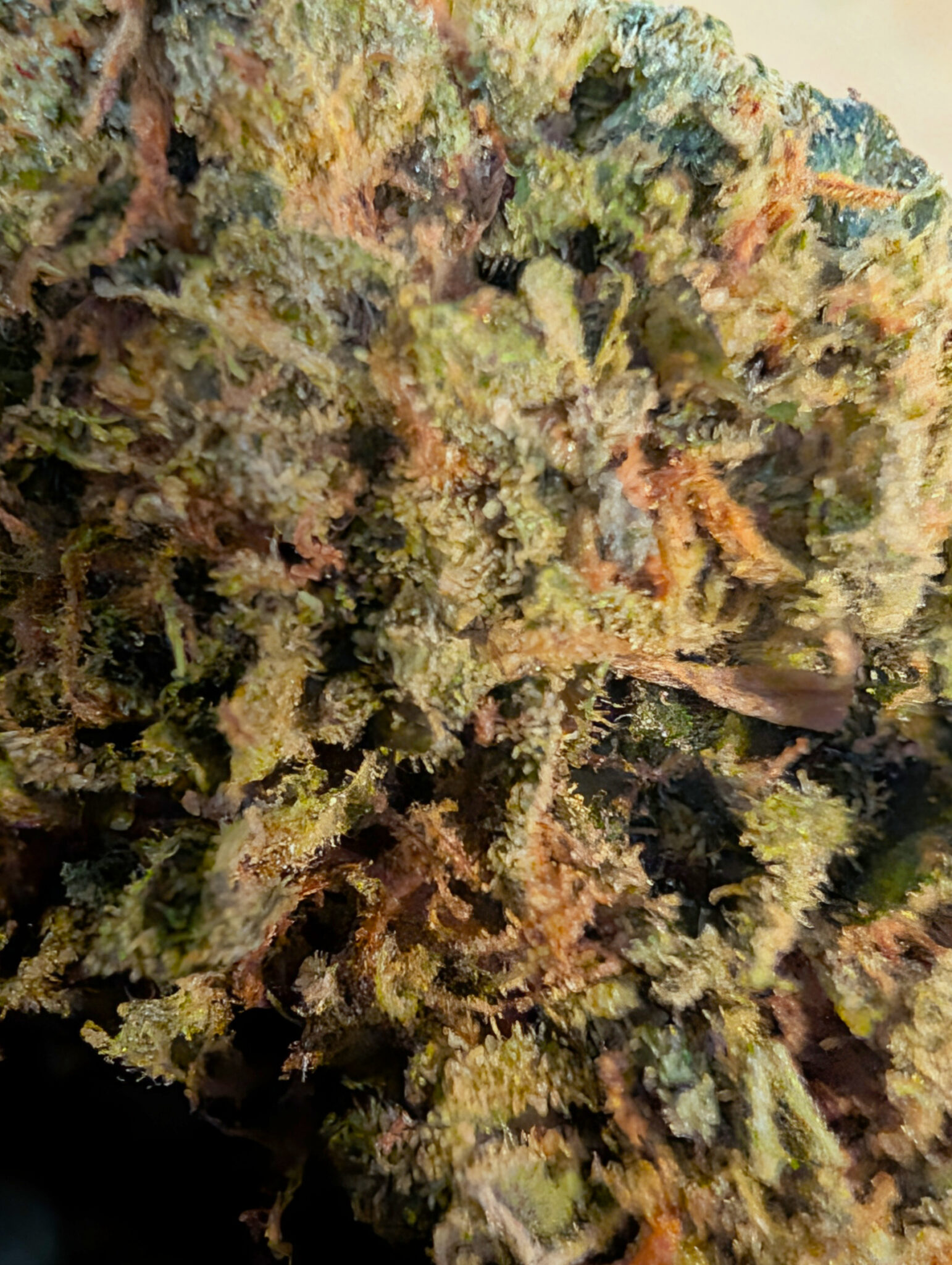 Image #2 from HEXebyte