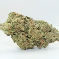 Runtz THCA Hemp Flower
