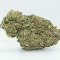 Runtz THCA Hemp Flower