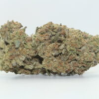 Runtz THCA Hemp Flower