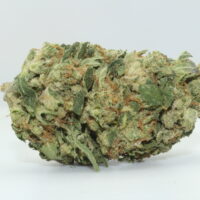 Runtz THCA Hemp Flower
