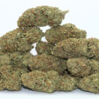 Sour Brulee CBD Flower